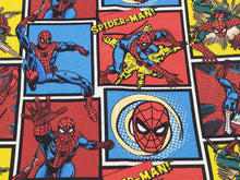 Load image into Gallery viewer, Spiderman Face Mask
